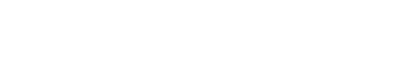 Successful Mindset for Life